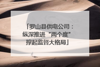 罗山县供电公司：纵深推进“两个度” 撑起监督大格局